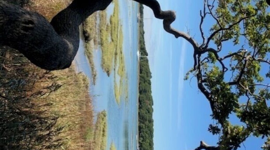 If you go to the New Forest I would really recommend Exbury Gardens. This peaceful spot is over looking the Beaulieu River #Trovember