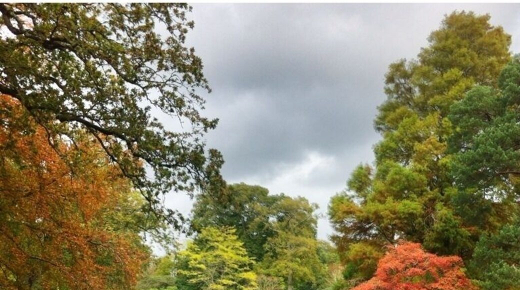Beautiful gardens at Exbury...plus a little steam train ride to keep the kids happy