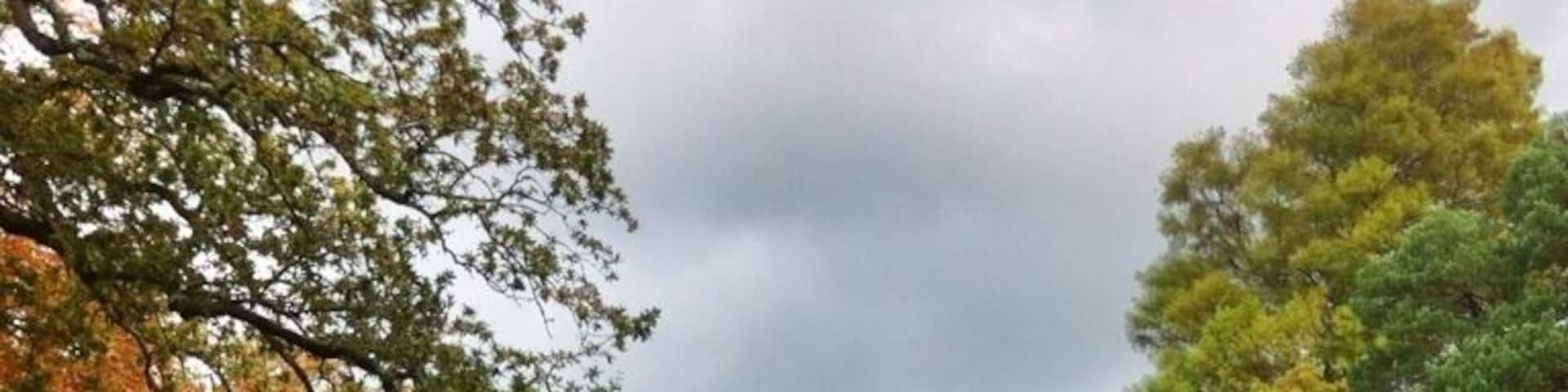 Beautiful gardens at Exbury...plus a little steam train ride to keep the kids happy