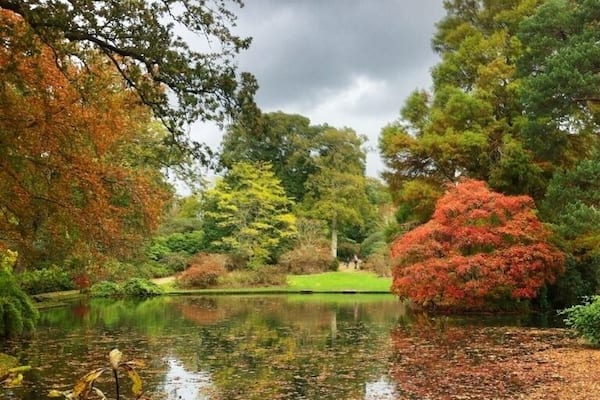 Beautiful gardens at Exbury...plus a little steam train ride to keep the kids happy