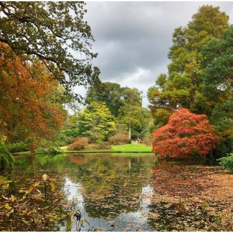 A serene pond surrounded by trees with autumn foliage, reflecting the sky and trees.