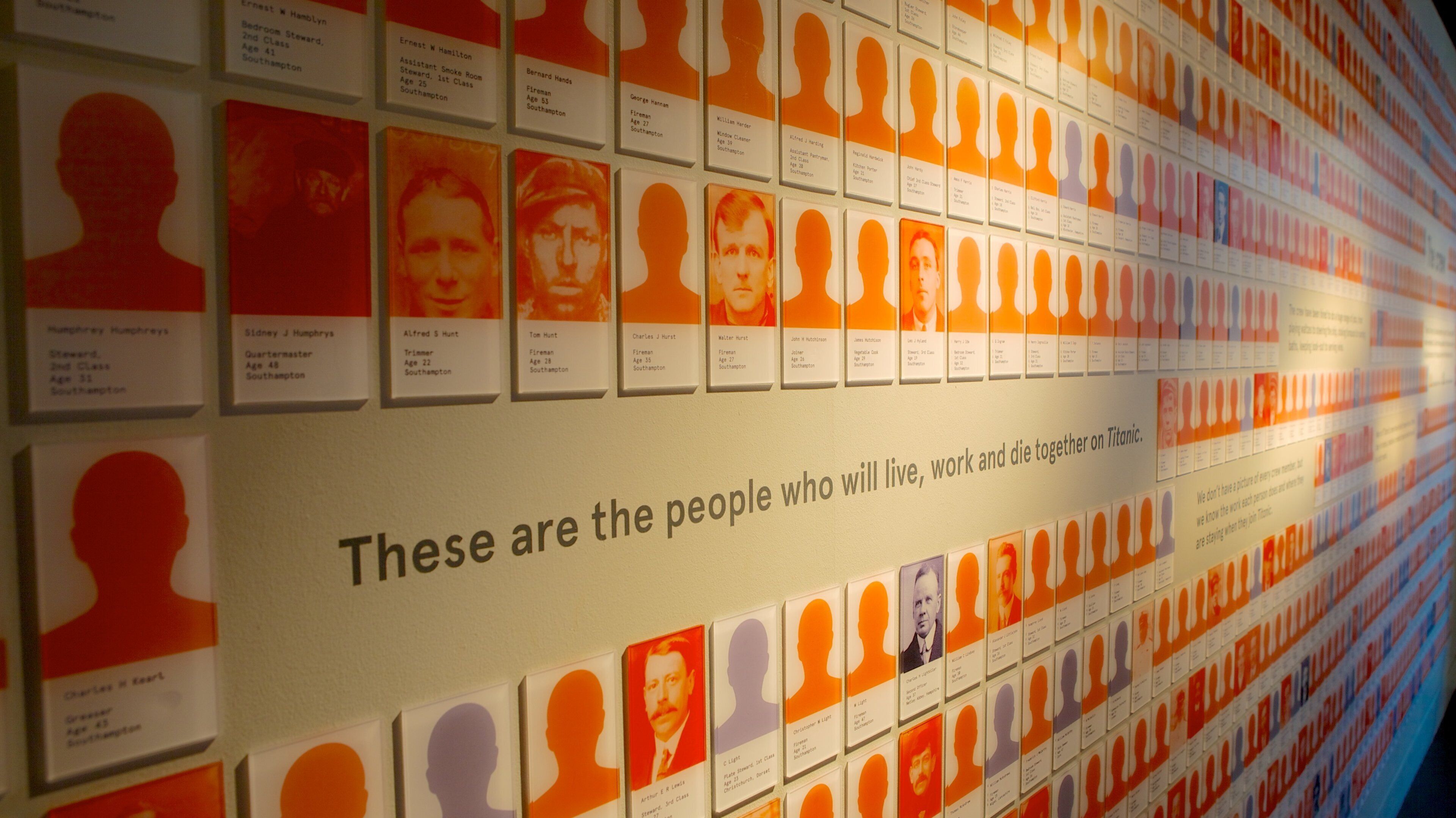 SeaCity Museum featuring interior views and signage