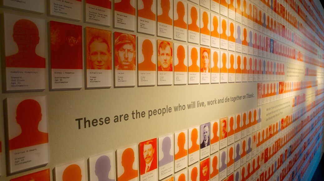 SeaCity Museum featuring interior views and signage