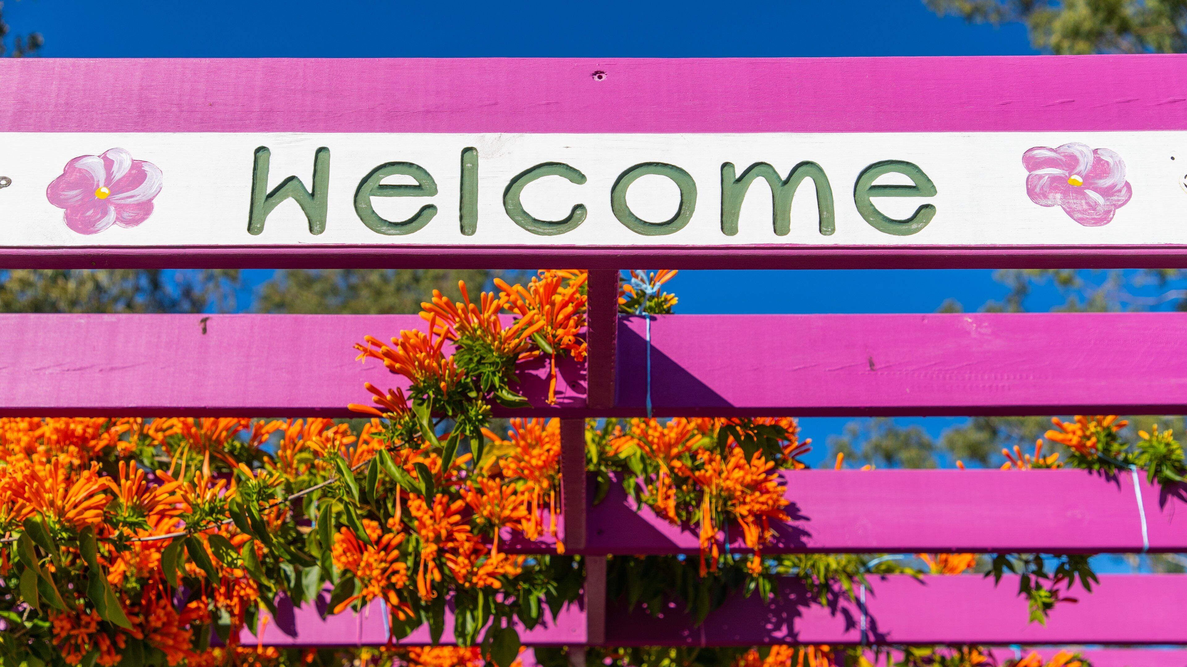 Calliope showing wildflowers and signage