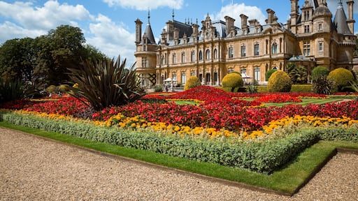 Scenic view of the parterre gardens at Waddesdon manor in full bloom