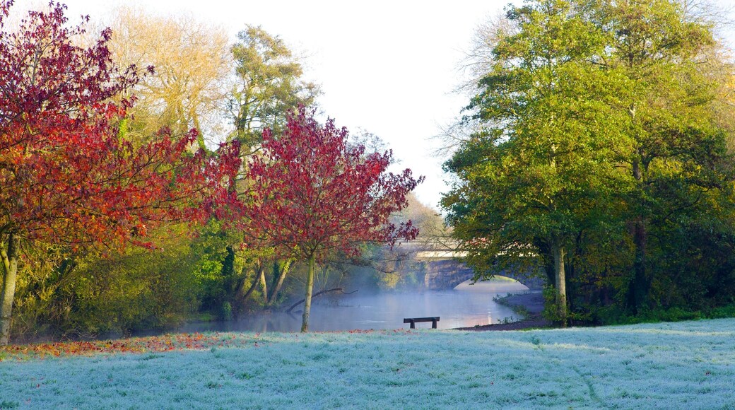 Riverside Park featuring autumn leaves, a river or creek and a park