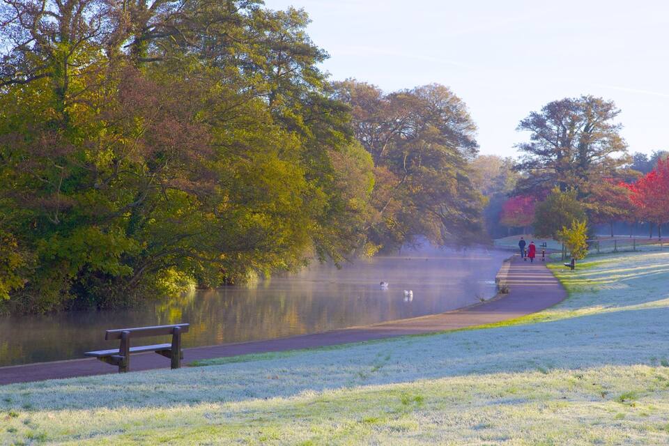 A park with a lake, trees, a bench, and a path.