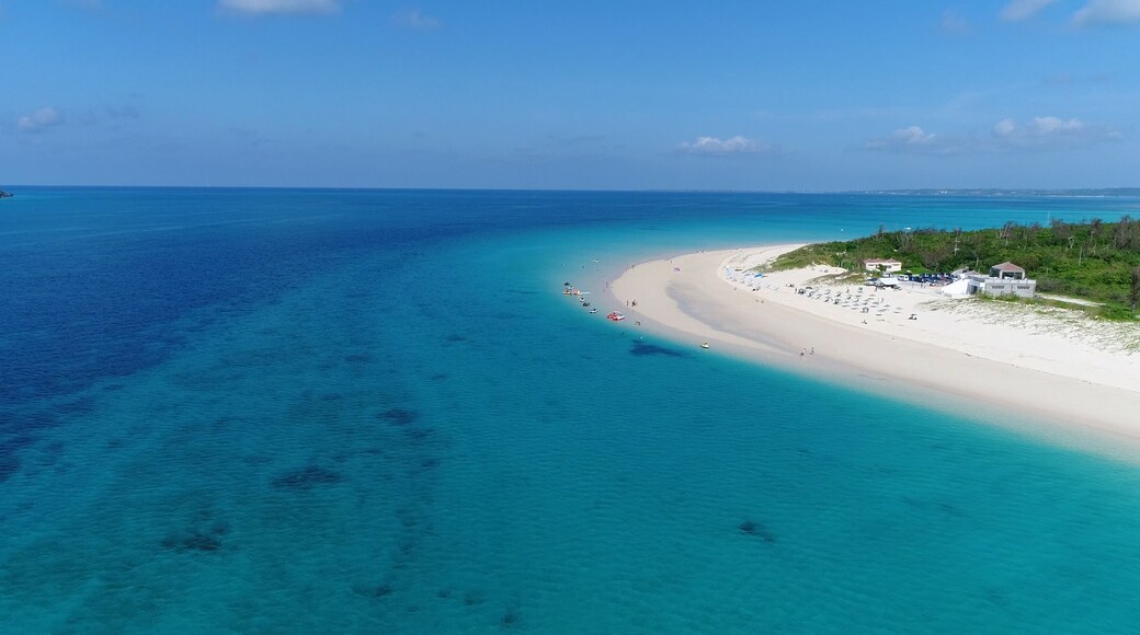 Depot Island