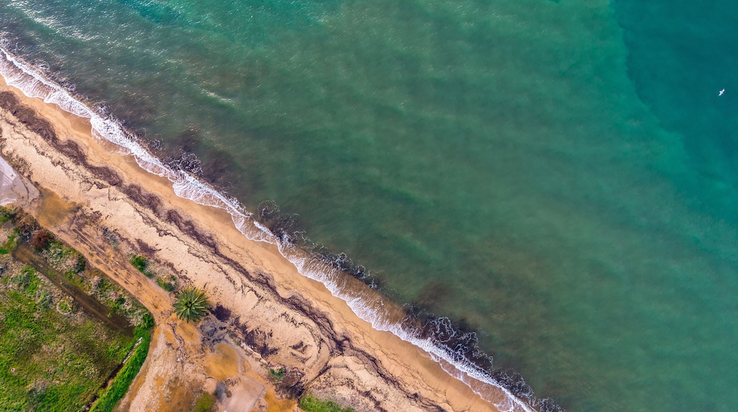 Aerial view of Paralia Portaria beach and Thermaic Gulf coastline, Central Macedonia, Greece