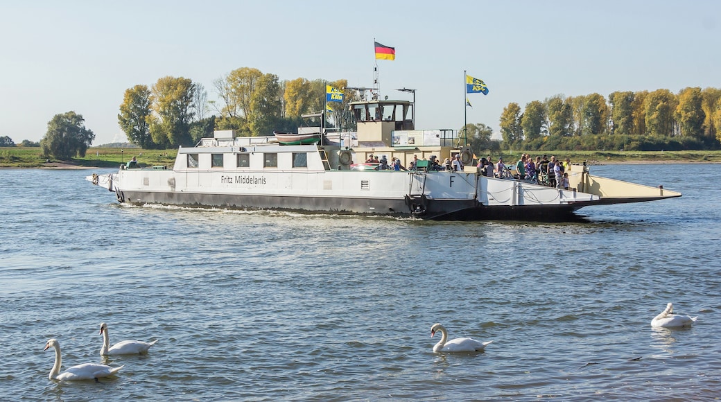 Autofähre „Fritz Middelanis“ (ENI 04810070) Langel (Köln-Merkenich) - Leverkusen-Hitdorf am Anleger in Hitdorf