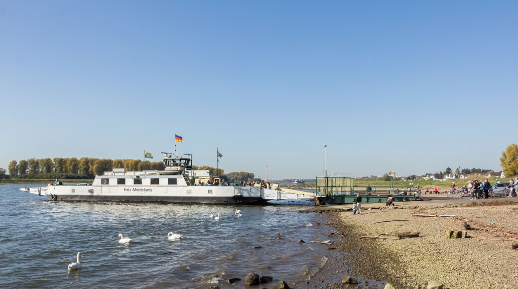 Autofähre „Fritz Middelanis“ (ENI 04810070) Langel (Köln-Merkenich) - Leverkusen-Hitdorf am Anleger in Hitdorf