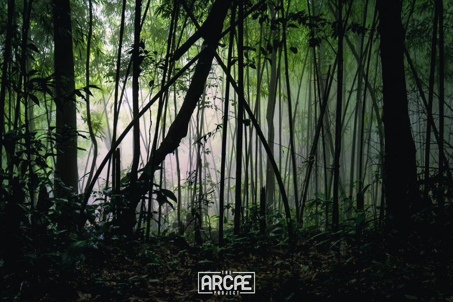 You are never too far away from an adventure when you're in Vietnam.
Tired of the city traffic? How about getting lost in a foggy bamboo forest, just a short drive away from Hanoi?