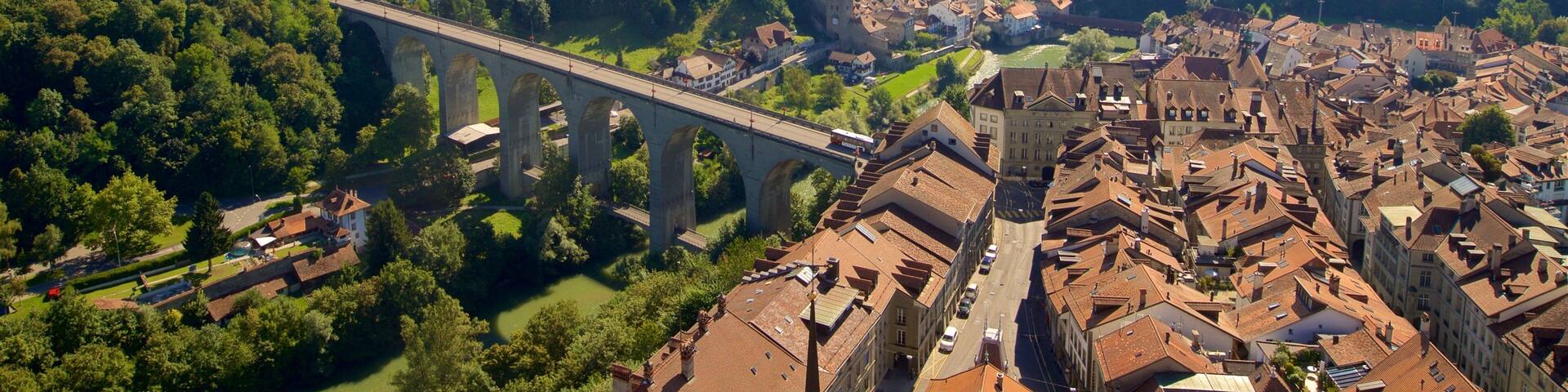 A city with a prominent bridge, dense greenery, and a river.