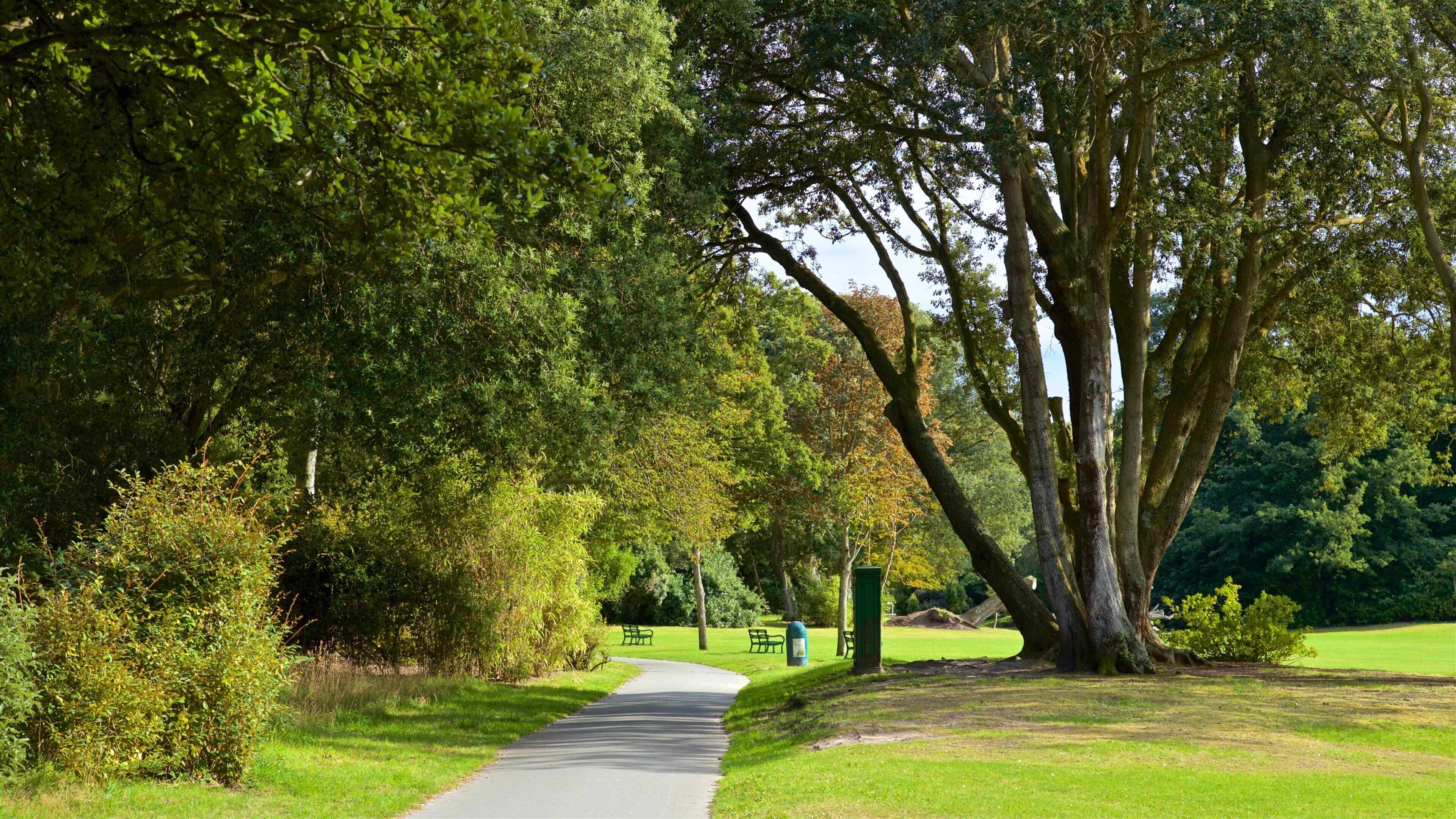 ソーマレズ パーク フィーチャー 庭園