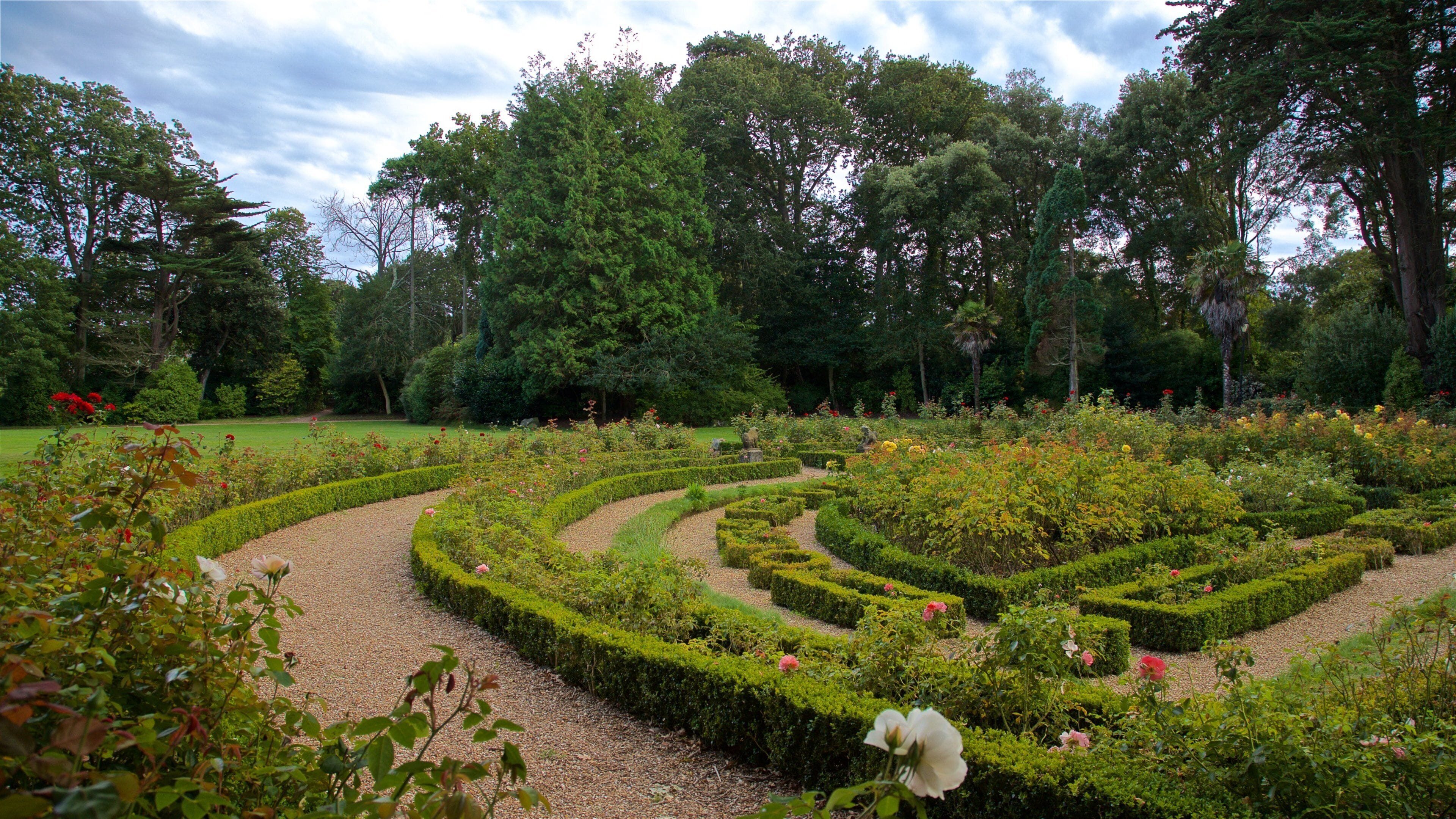 Saumarez Park featuring flowers, a garden and wild flowers