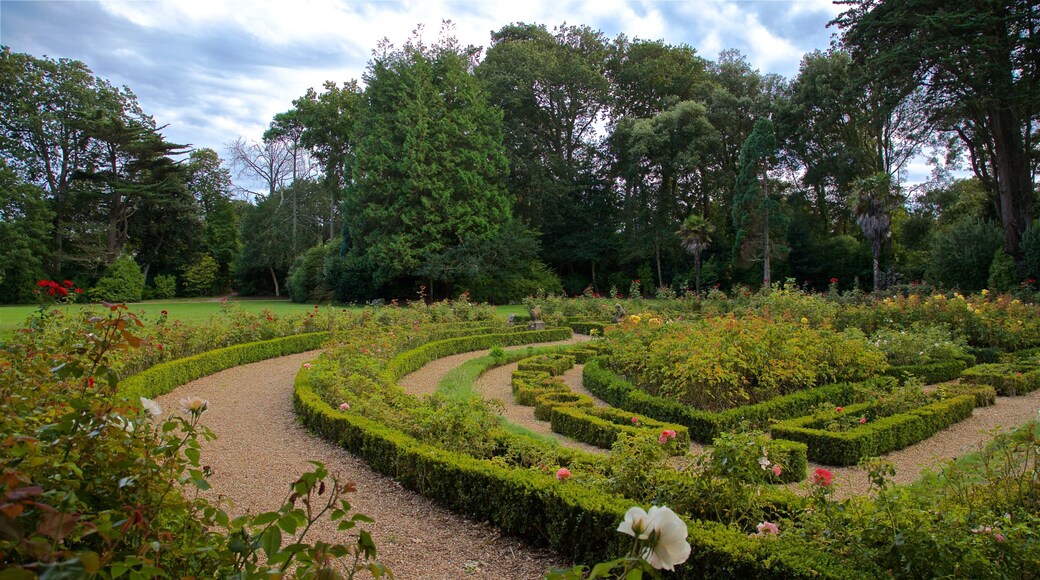 Parque Saumarez que incluye flores, un jardín y flores silvestres