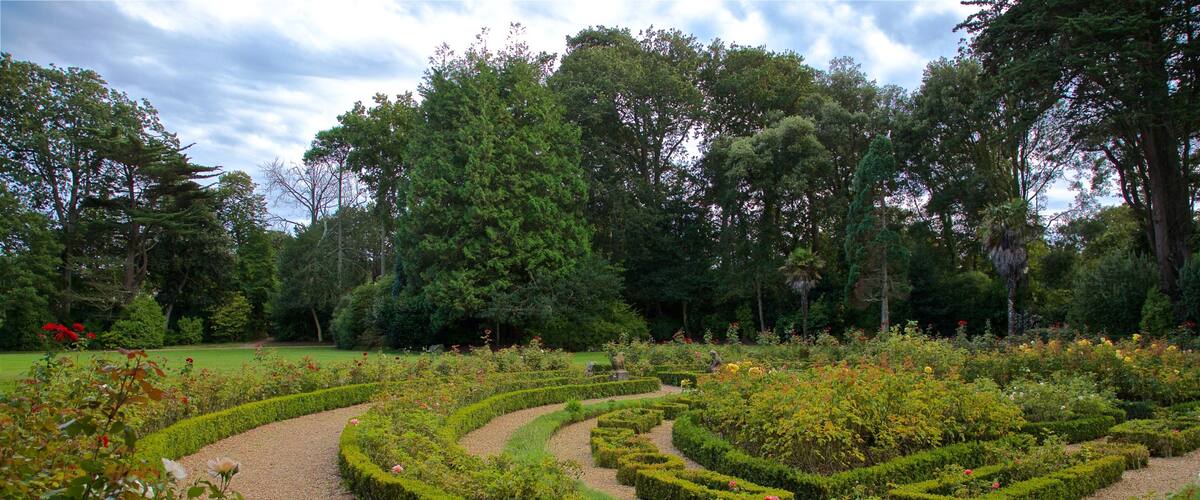 Saumarez Park che include fiori di campo, fiori e giardino