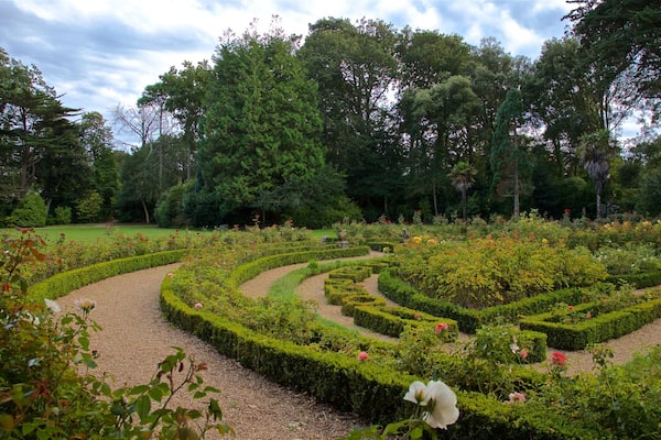 Saumarez Park which includes a garden, wild flowers and flowers