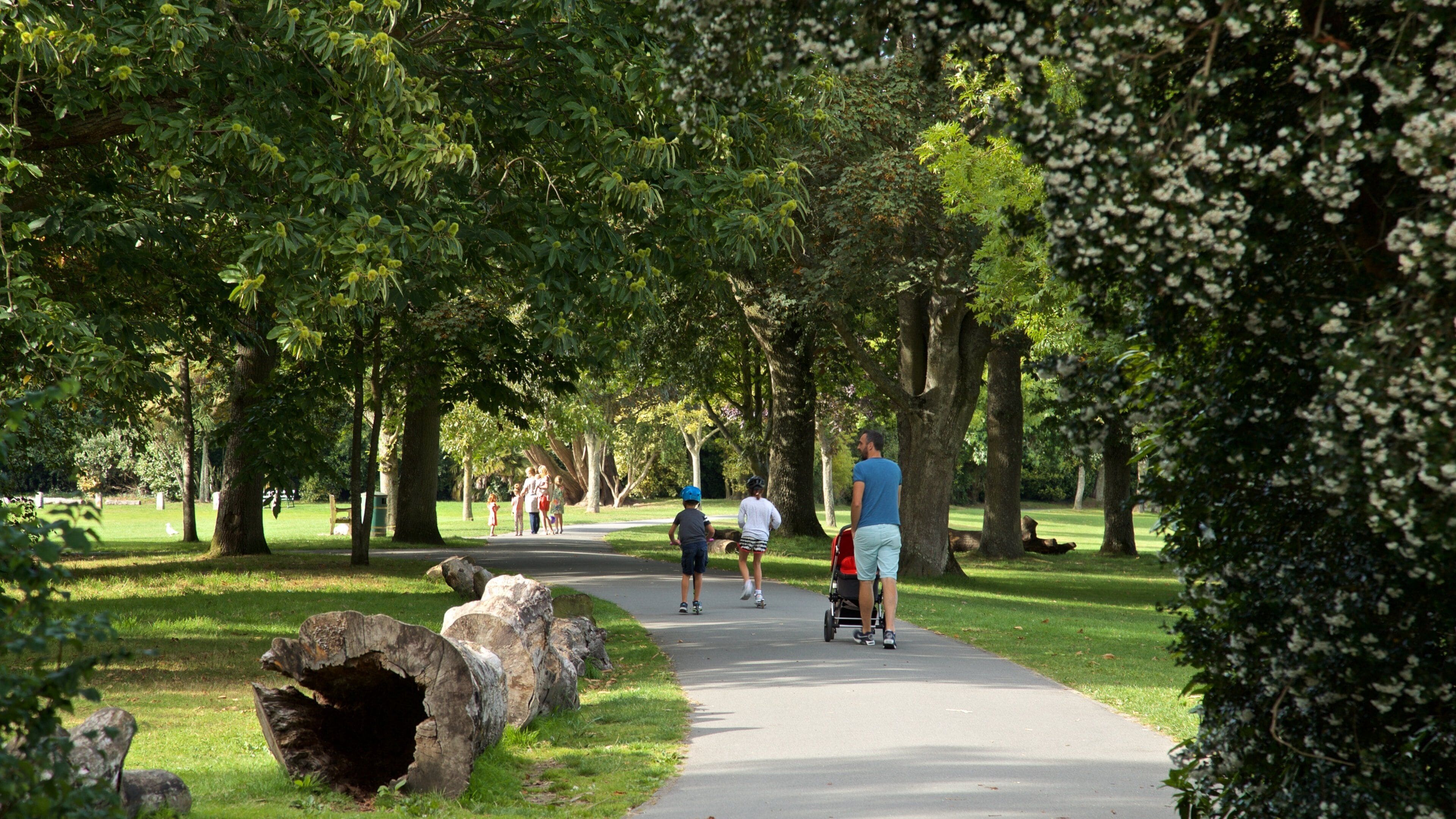 A park with a paved path, trees, and people walking.