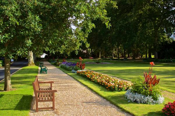 Saumarez Park featuring flowers, wild flowers and a garden