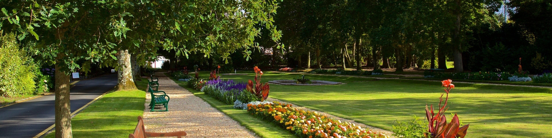Saumarez Park showing wildflowers, a garden and flowers