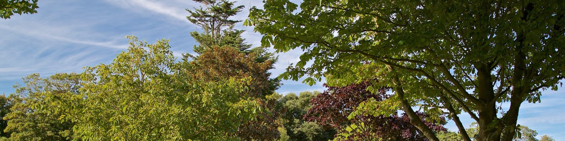 Saumarez Park which includes a garden