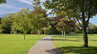 Saumarez Park which includes a garden
