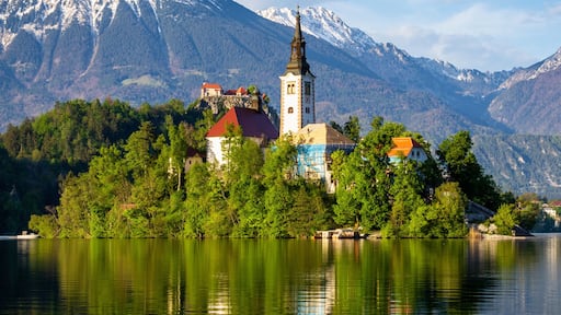 Radovljica