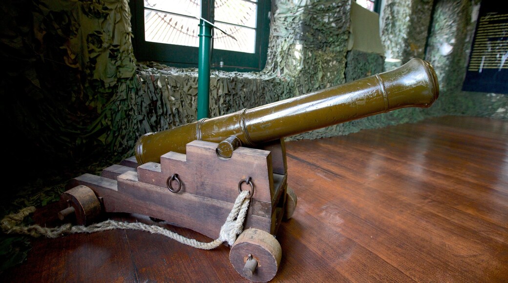 Museo Militar mostrando artículos militares y vistas interiores