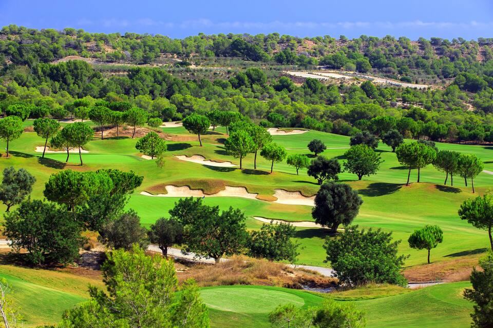 Un campo da golf con bunker di sabbia, alberi e un paesaggio collinare sullo sfondo.