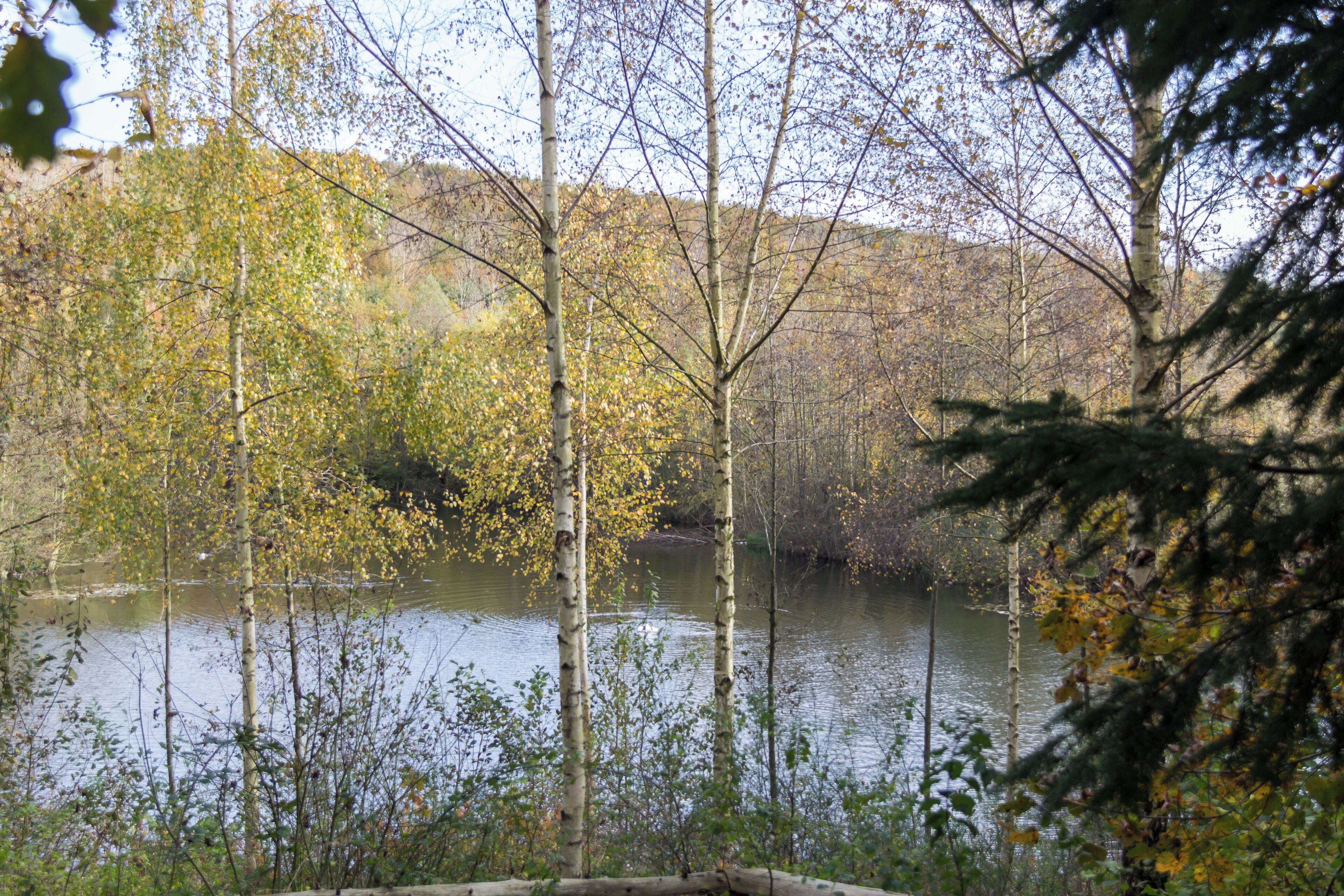 This is a picture of the protected area listed at WDPA under the ID