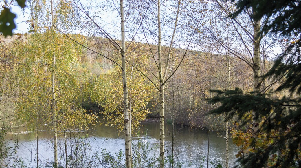 This is a picture of the protected area listed at WDPA under the ID