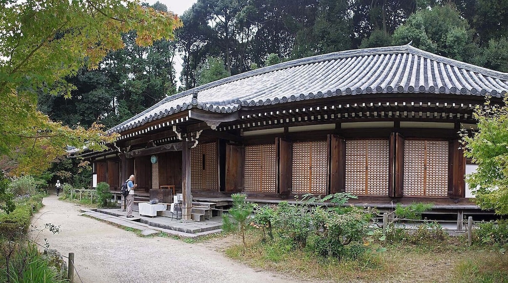 Jyoururiji Temple , 浄瑠璃寺