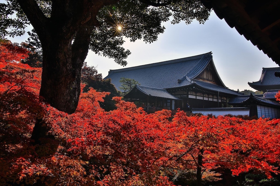 The famous temple full with autumn leaves in Kyoto