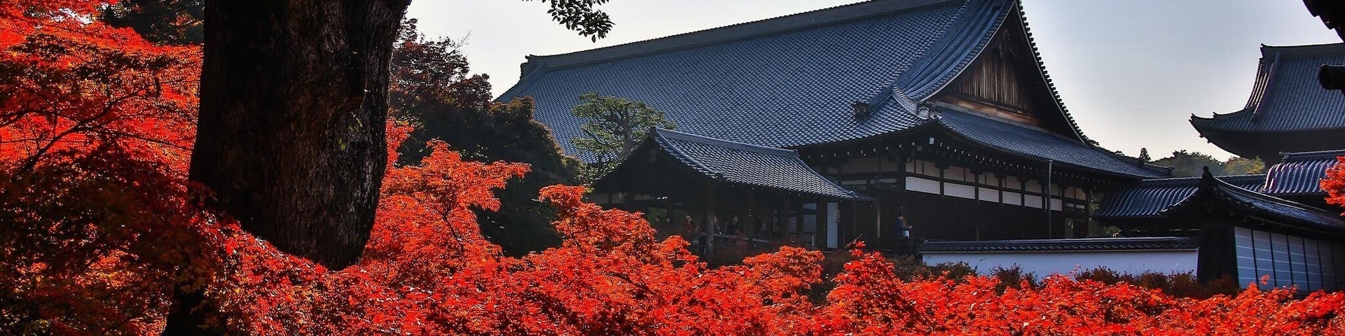 The famous temple full with autumn leaves in Kyoto