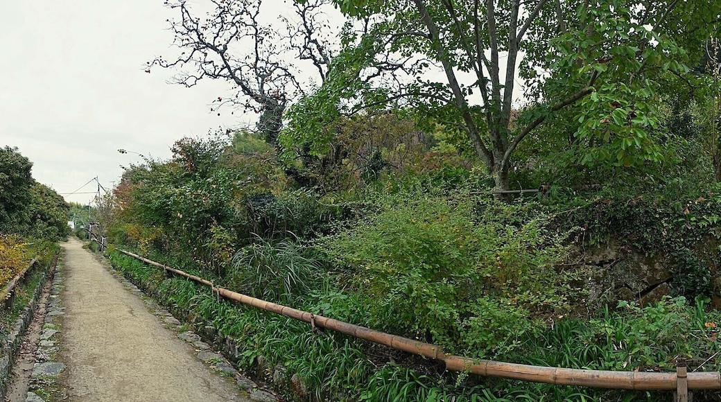 Jyoururiji Temple , 浄瑠璃寺