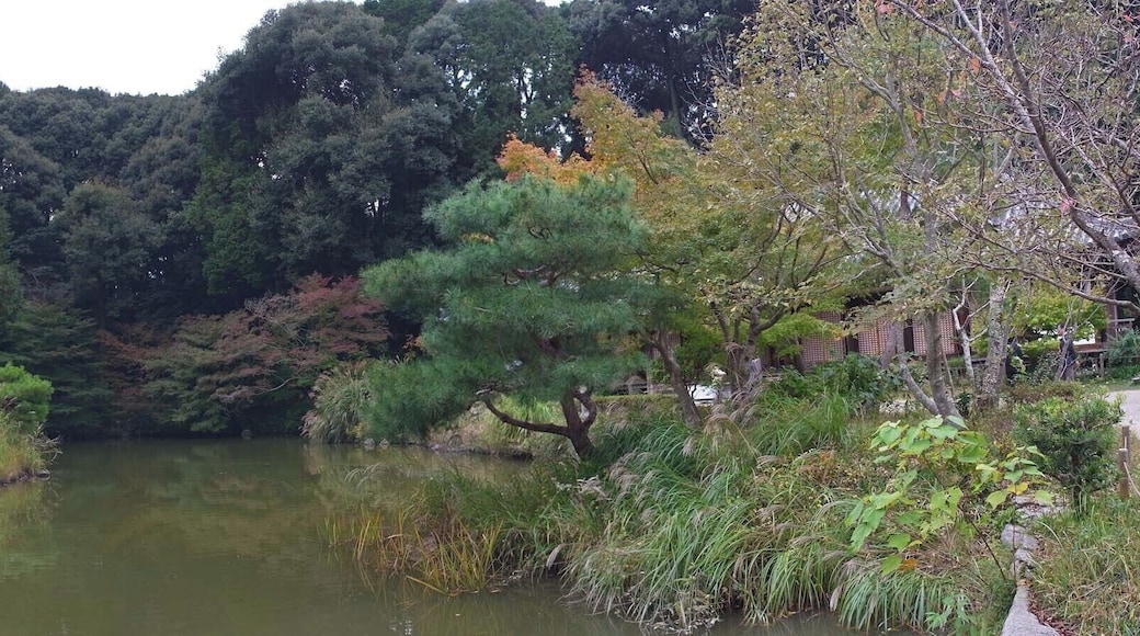 Jyoururiji Temple , 浄瑠璃寺