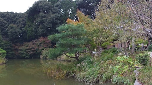 Jyoururiji Temple , 浄瑠璃寺
