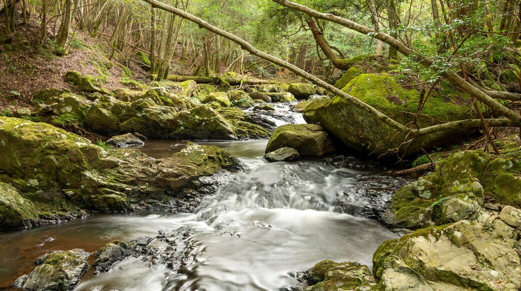 Water flow in Ruri valley in Sonobe, Nantan city, Kyoto, Japan in summer
