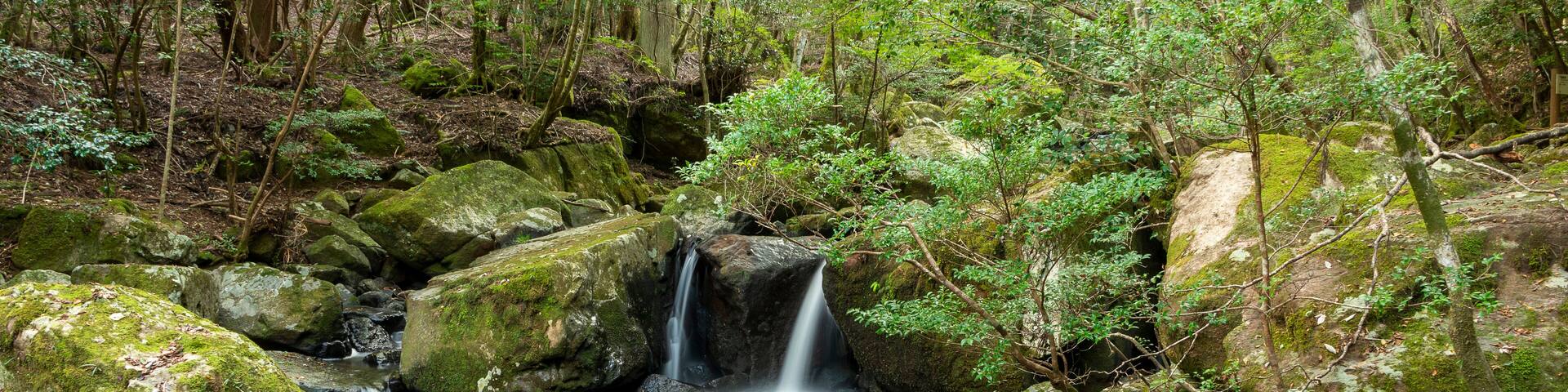 Water flow in Ruri valley in Sonobe, Nantan city, Kyoto, Japan in summer