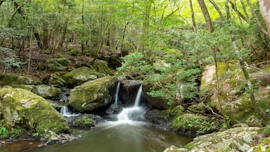 Water flow in Ruri valley in Sonobe, Nantan city, Kyoto, Japan in summer