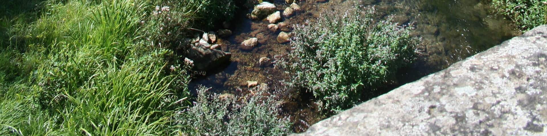 Fondamente (Aveyron) - riviĂšre Sorgues.