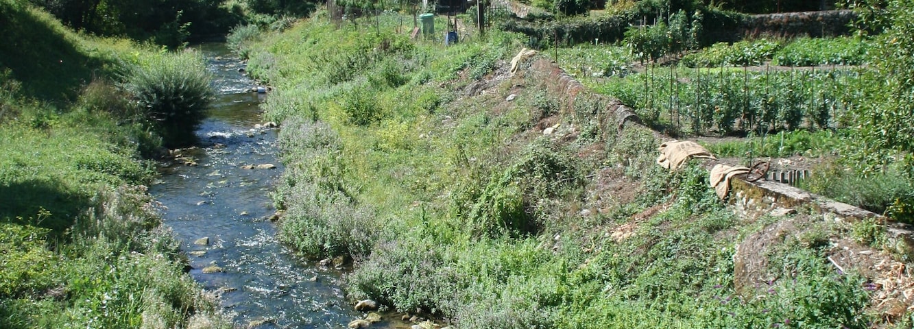 Fondamente (Aveyron) - rivière Sorgues.