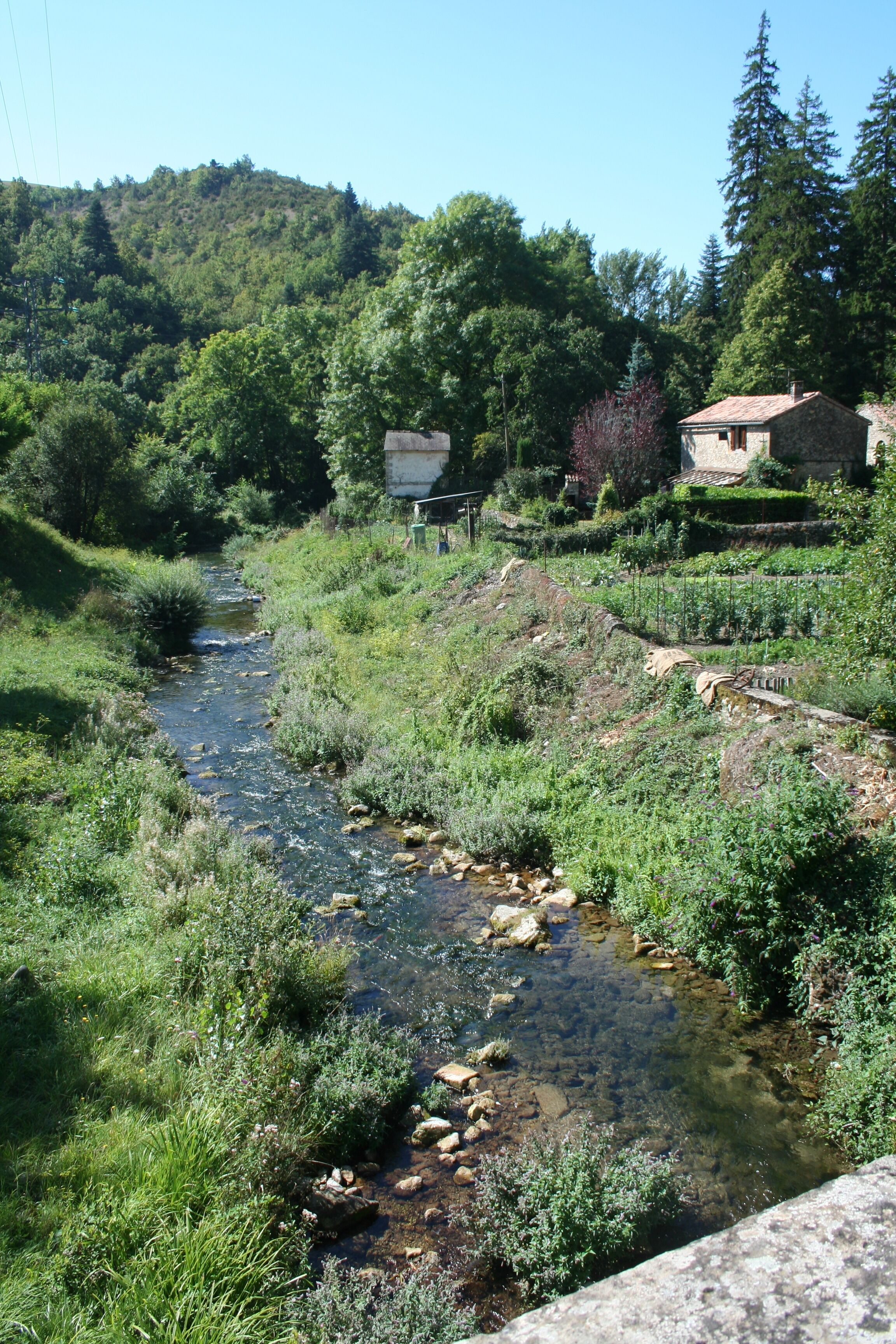 A clear stream with rocks, surrounded by lush greenery and a house with a tiled roof.