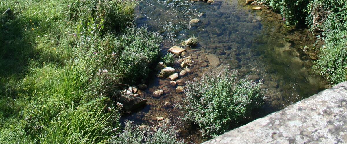 A clear stream with rocks, surrounded by lush greenery and a house with a tiled roof.