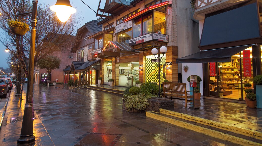 히우그란지두술 주립 공공 도서관