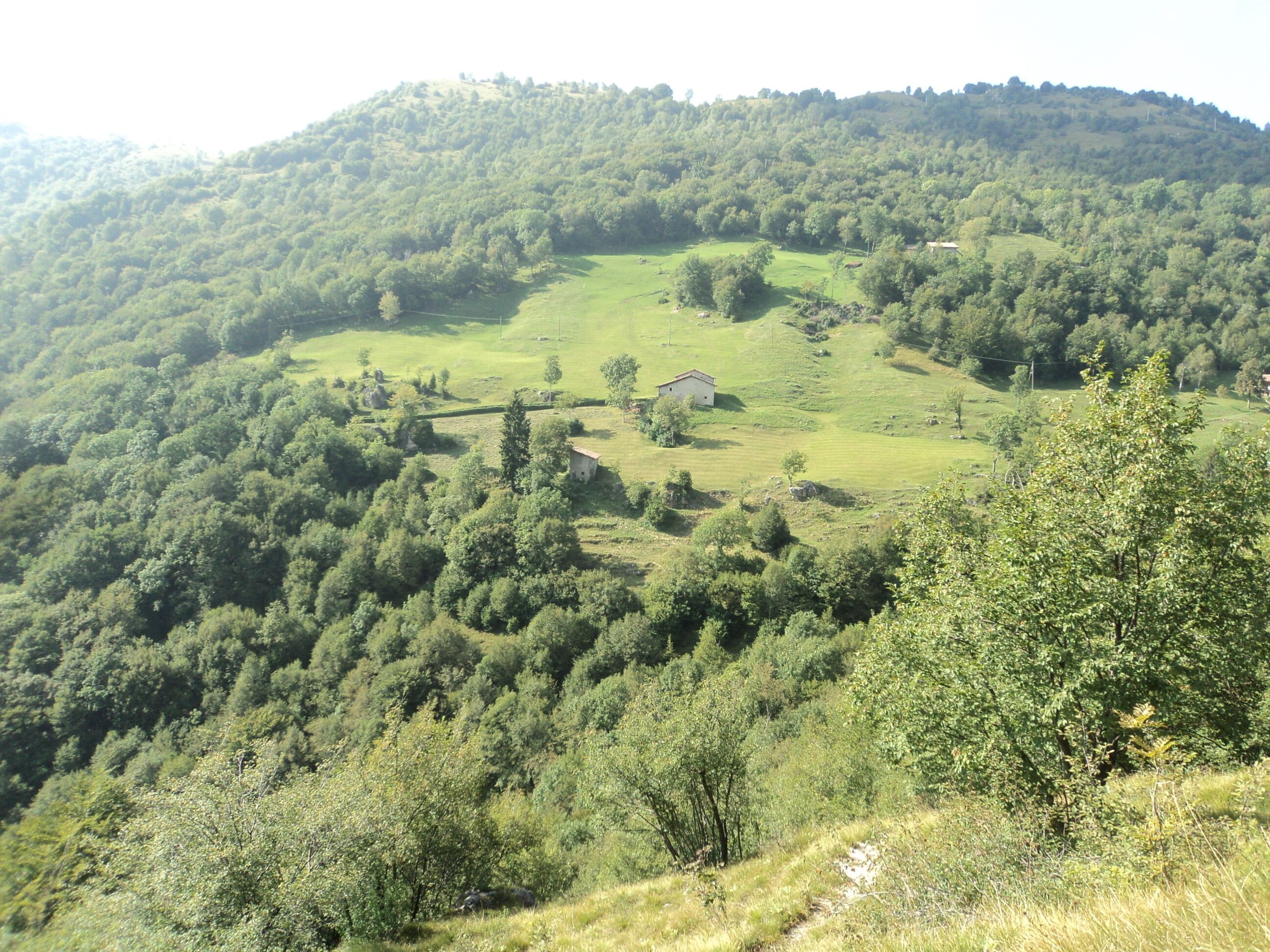 A lush valley with dense forests, rolling hills, and a small white building.