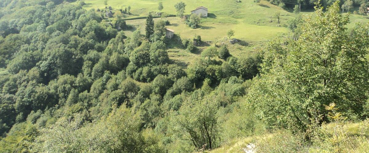 A lush valley with dense forests, rolling hills, and a small white building.