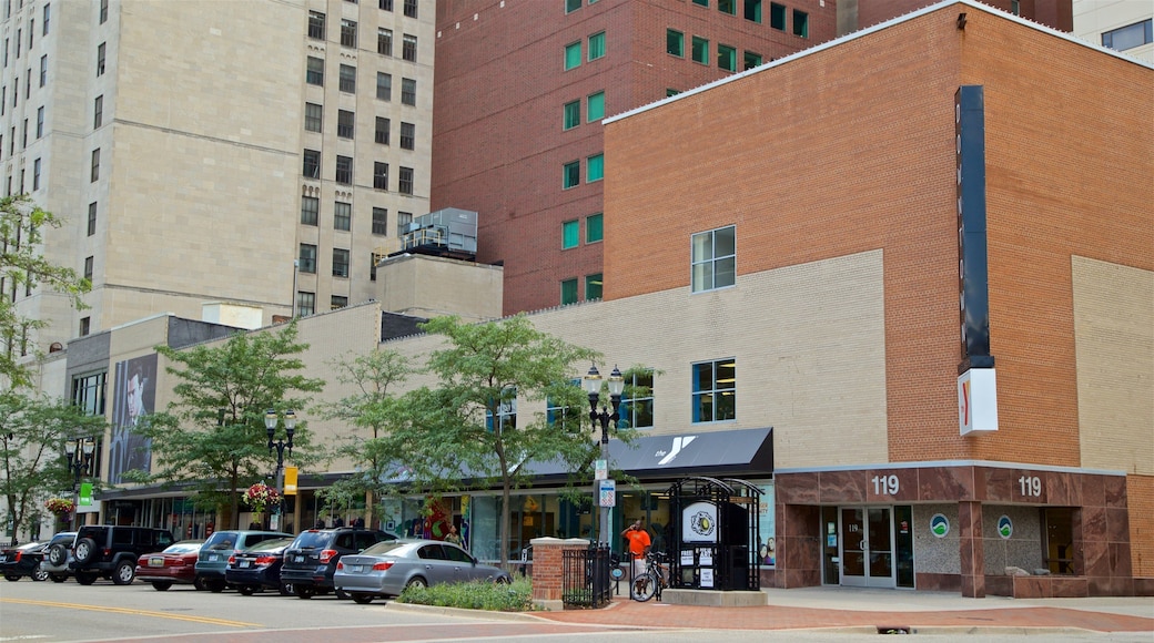 Lansing Art Gallery featuring a city