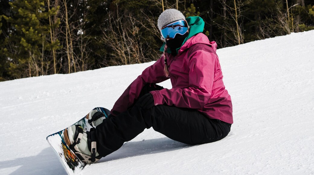 Estación de esquí Pine Knob